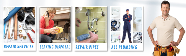 toilet repair services